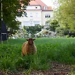 Schloss Pensjonat 3*