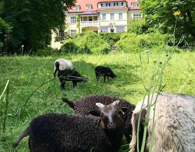 بيت ضيافة Schloss Morlbach