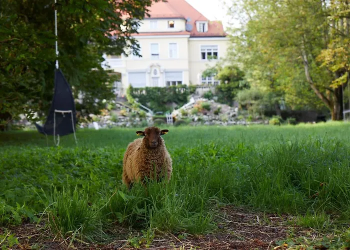 Schloss بيت ضيافة 3*