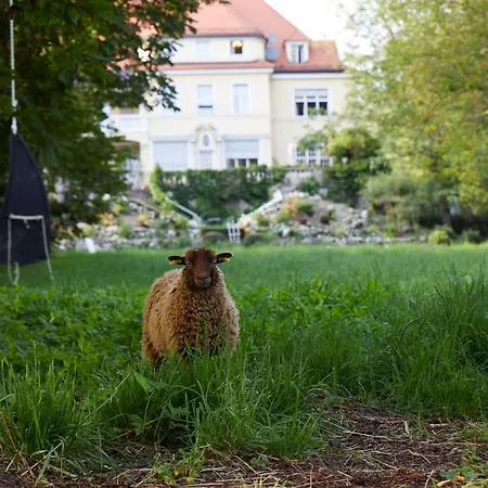 Schloss Guest house 3*