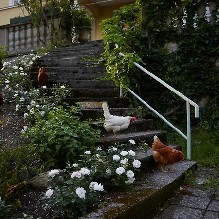 Schloss 3*